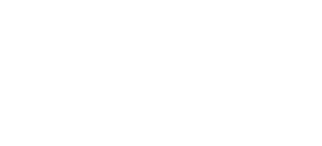 Dyxnet by Neolink_logo_final (All white)